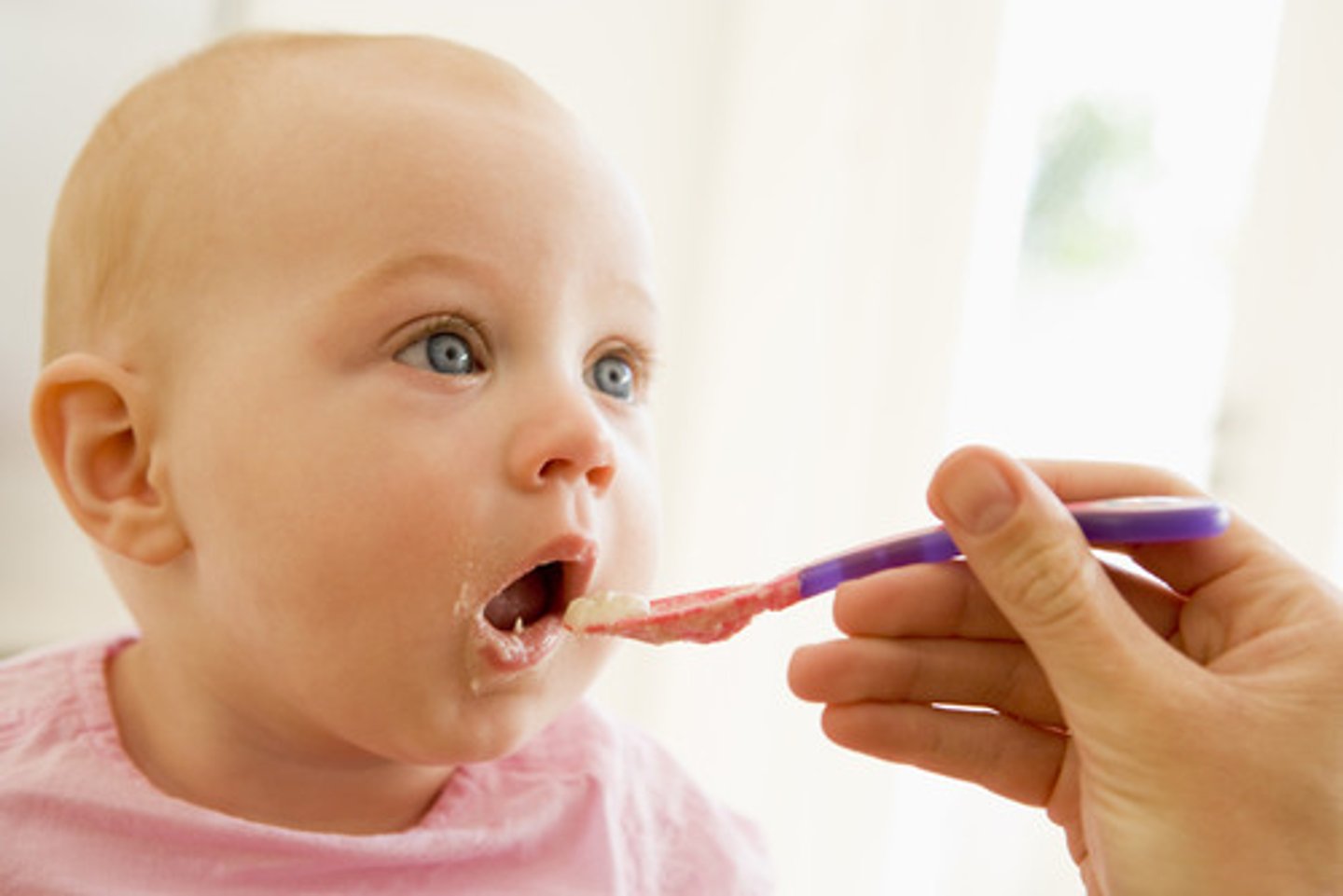 <p>brings on hunger</p><p>stimulate= animal will begin to eat</p><p>lesion= animal will have no interest in food</p>