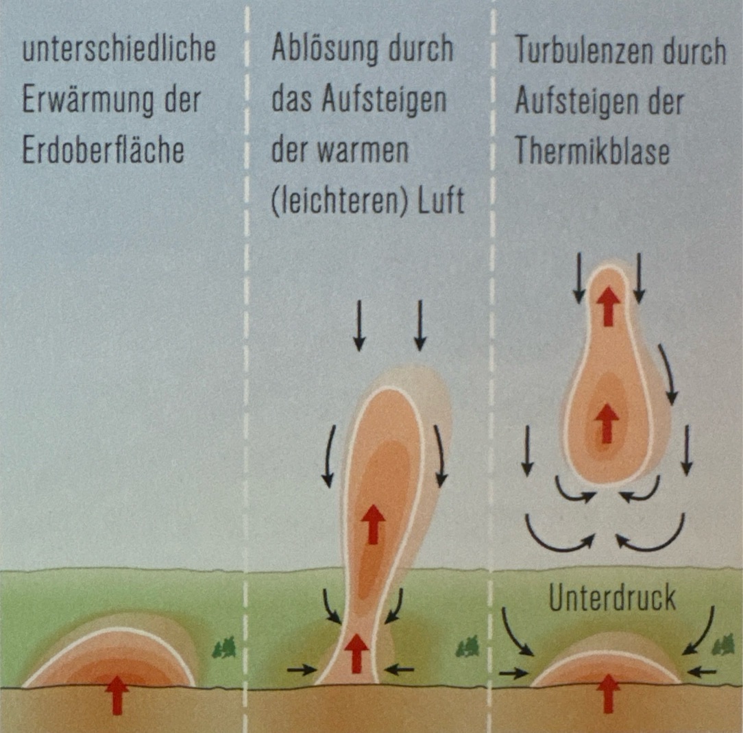 <p>Bei instabilen atmosphärischen Verhältnissen verstärken die steigenden Luftmassen die mechanische Turbulenz. Die aufsteigende Luftblase stört die laminare Windströmung und zusätzlich führt der am Boden entstehende Unterdruck dazu, dass von allen Seiten Luft hinzuströmt. An heissen Sommertagen kann dies zu Böen führen, die für Fallschirmspringer gefährlich sind. In mittlerer und grosser Höhe kann thermische Turbulenz oft vorausgesehen werden, da sie in Begleitung von Cumuli oder Cumulonimbussen auftreten.</p>