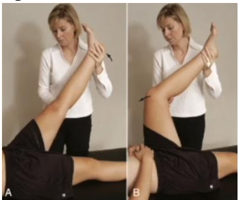 <p><strong>Purpose: </strong><span style="line-height: 115%;">Testing for <strong>noncapsular</strong> issue - bursitis or tumor - under the glutes</span></p><p></p><p><strong>How to Perform:</strong></p><ol><li><p>Patient supine</p></li><li><p>Perform passive SLR until pain/resistance</p></li><li><p>Flex knee</p></li><li><p>Attempt more hip flexion</p></li></ol><p></p><p><strong>Positive Test: </strong>Hip flexion stays equally painful/restricted even with knee bent</p><p></p><p><strong>Interpretation:</strong> Red flag for serious pathology like tumor, abscess, fracture, or osteomyelitis; needs medical investigation</p>
