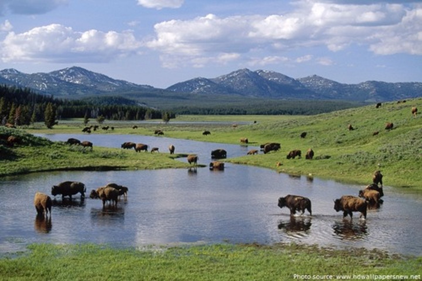 <p>TRANSLATION: давать диким животным возможность жить мирно</p><p>DEFINITION: to make it possible for wild creatures to exist without disturbance</p><p>EXAMPLE: National parks ........................ away from cities and roads. Национальные парки ДАЮТ ДИКИМ ЖИВОТНЫМ ВОЗМОЖНОСТЬ ЖИТЬ МИРНО вдали от городов и дорог.</p>