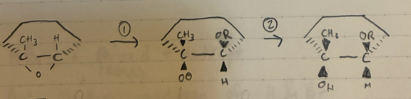 <p>(1) Strong Base (RO-)/nucleophile</p><p>(2) Dilute acid (neutralize) (H2SO4, H+, H3O+)</p>