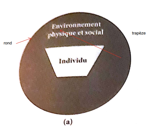 <p>Situation d’<strong>inadéquation</strong> entre l’individu et l’environnement</p>
