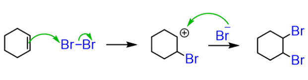 <p>product: each carbon gets 1 halogen</p>