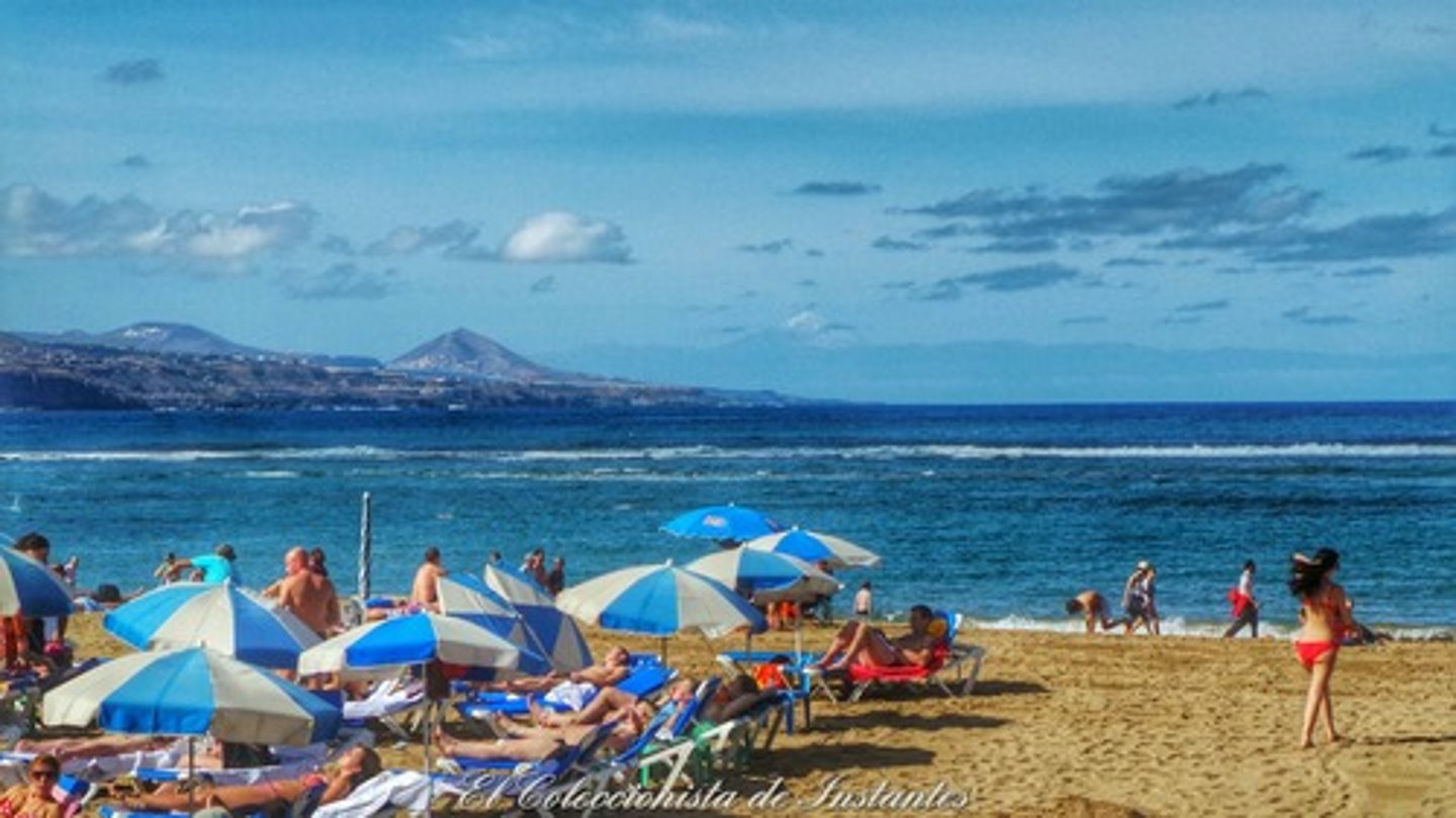 <p>beach</p>