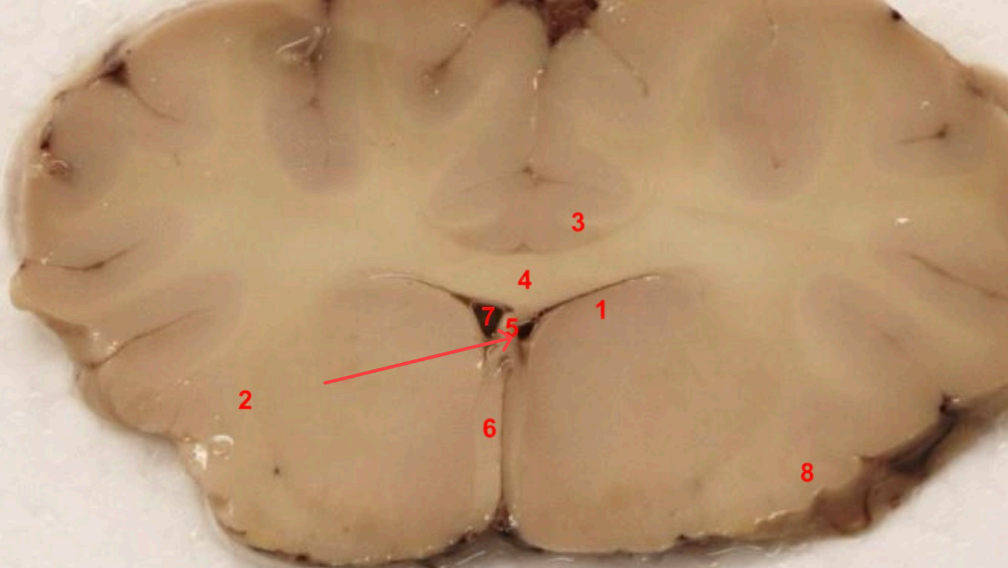 <p>what area is this </p>