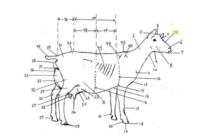 knowt flashcard image