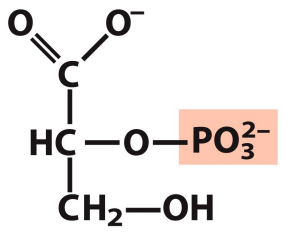 <p>What is this structure?</p>