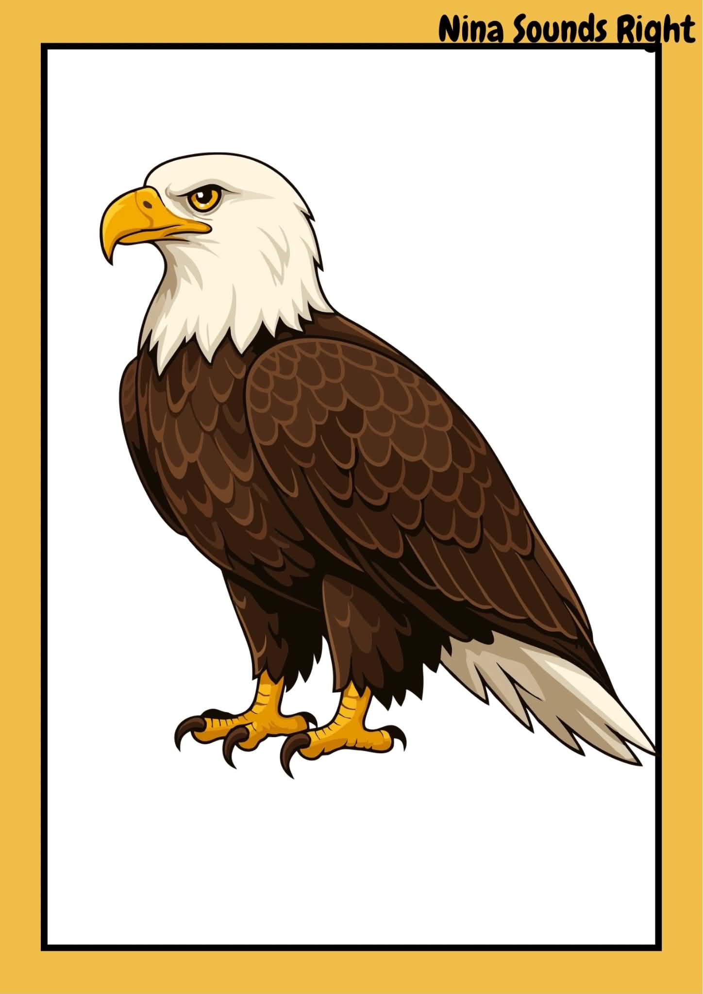 <p><span style="color: rgba(255,255,255,var(--O42jJQ,1));">I am a big bird with strong wings and sharp eyes. I can fly very high up in the sky. </span></p>
