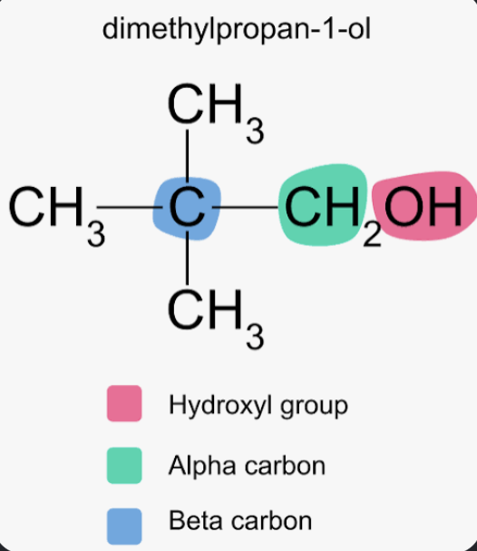 <p><strong>☆ what are alpha and beta carbons?</strong></p>