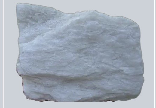 <p>MTMP</p>