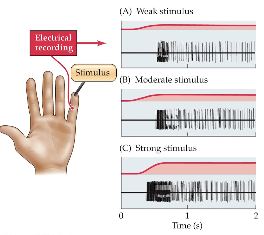 <p>What do you see here?</p>
