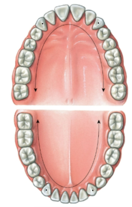 knowt flashcard image