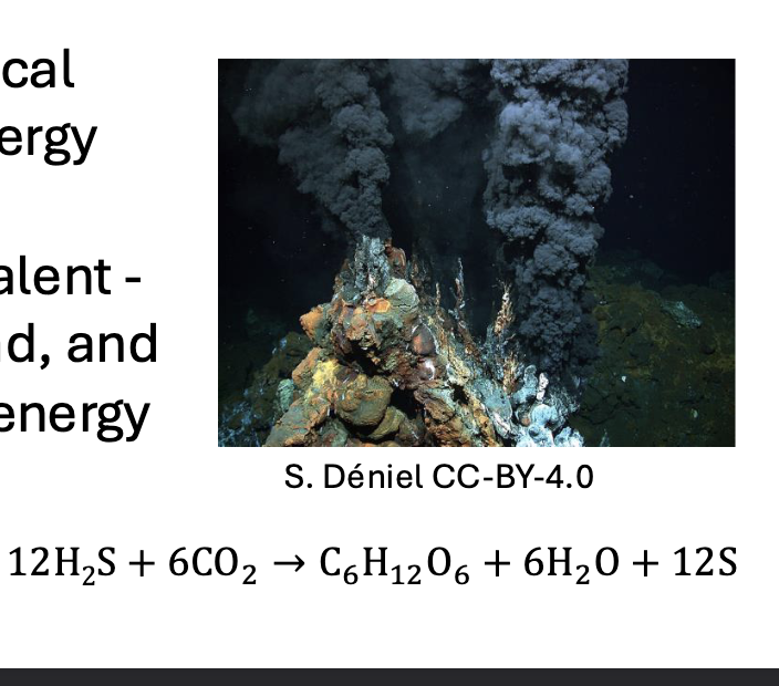 <p>Use CHEMICAL compounds as the source of ENERGY (no sunlight) </p>