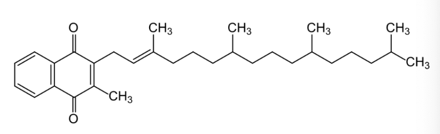 <p>what is this structure</p>