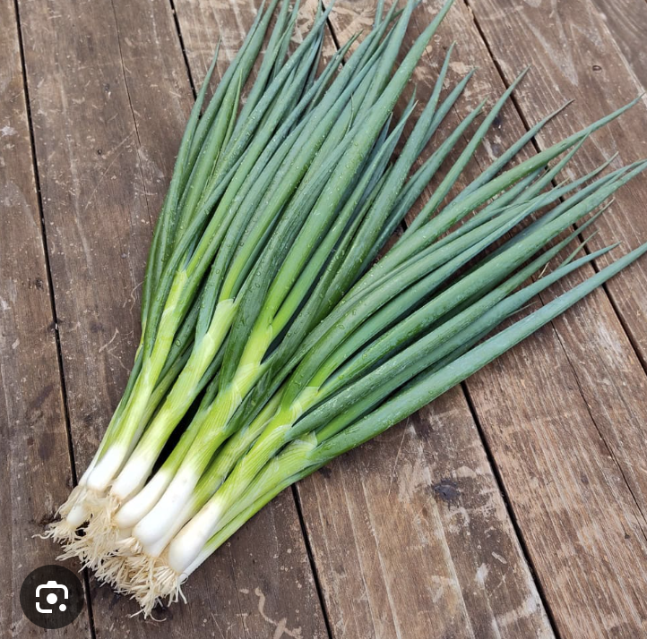 <p>Green Onion</p>