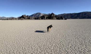 <p>What kind of desert feature is this?</p>