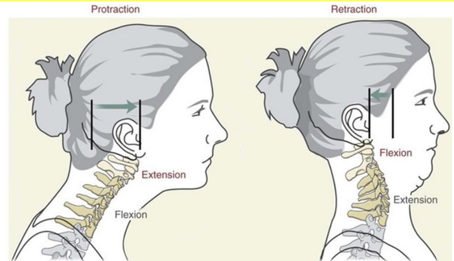 <p>These are combined movements involving both the upper and lower cervical spine</p><p>Upper cervical spine (0–C2): Flexion during retraction, extension during protraction </p><p>Lower cervical spine (C3–C7): Extension during retraction, flexion during protraction</p><p>Protraction: ~6–8 cm forward</p><p>Retraction: ~3–4 cm backward (from neutral)</p>