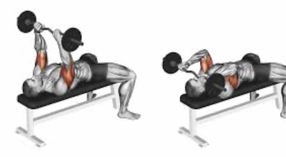 <p>Skull crushers target muscle and joint action </p>