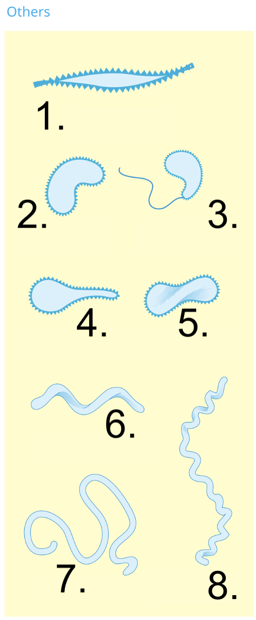 <p>Name these shapes and arrangements</p>