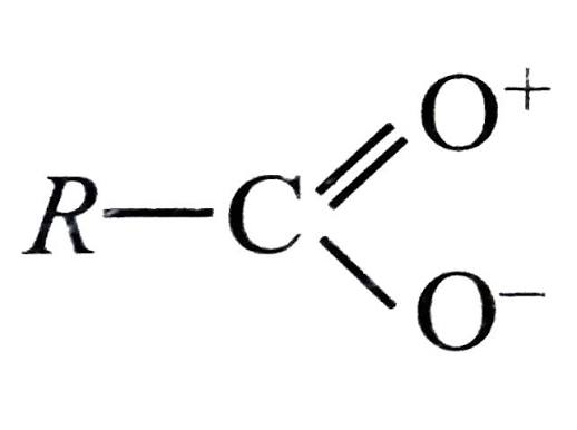 <p>‘prefix’ + noate ion</p>