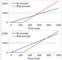 <p>-lot of variability in the go process </p><p>-less variability in the stop process</p><p>-stopping fails for steep go process slopes </p><p>-stopping succeeds for small go process slopes </p>