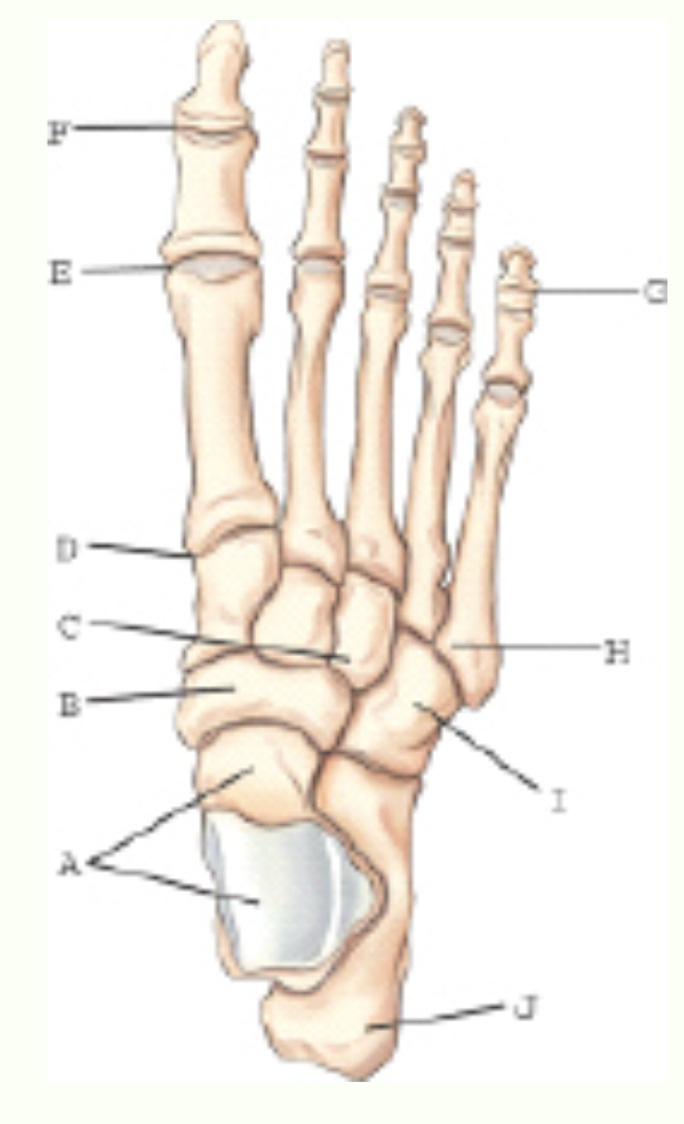<p>Label this image.</p>