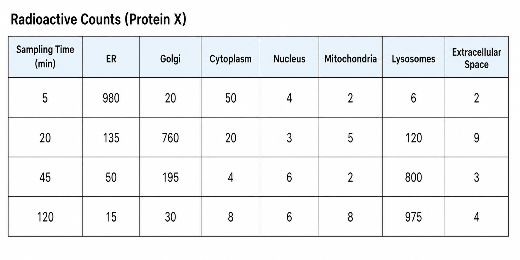 <p>In the first step of an experiment, rat liver cells were exposed for 5 minutes to amino acids labeled with a radioactive isotope. The cells were then washed to stop any further incorporation of radioactive amino acids. The cells were sampled periodically thereafter, and the radioactivity of a certain protein (protein X) was measured in various cell components.</p><p>What is the most likely identity of protein X?” </p><p>A) An enzyme that is involved in transcription<br>B) An electron transport protein that participates in respiration reactions<br>C) A protein secreted from liver cells into the bloodstream that permits proper capillary function<br>D) An enzyme that participates in the degradation and recycling of cell components<br>E) A building block of the microtubules that are part of the cytoskeleton</p>