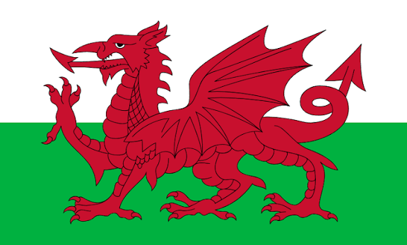 <p>From which country is this flag and what is it called</p>