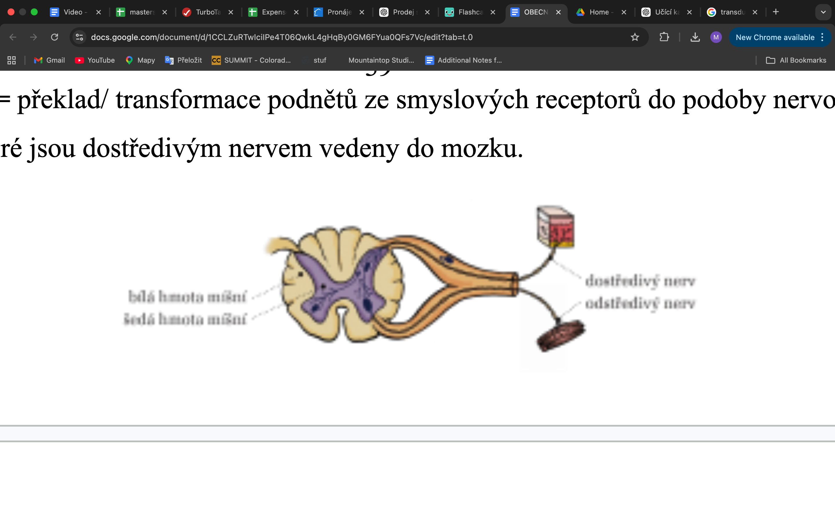 <p><span style="background-color: transparent; font-family: "Times New Roman", serif;">● Smyslové receptory tvoří specializované nervové buňky nebo volná nervová zakončení. Každý&nbsp; z receptorů reaguje na určitý druh fyzikálních, chemických, biochemických podnětů. ● Mozek rozumí pouze „jazyku“ elektrochemických nervových impulzů.&nbsp;</span></p><p><span style="background-color: transparent; font-family: "Times New Roman", serif;">● <strong>Transdukce= </strong>překlad/ transformace podnětů ze smyslových receptorů do podoby nervových&nbsp; signálů, které jsou dostředivým nervem vedeny do mozku.&nbsp;&nbsp;</span></p><p style="text-align: justify;"><span style="background-color: transparent; font-family: "Times New Roman", serif;">● Nervové vzruchy ze všech smyslových receptorů (kromě nosních→ čichového bulbu pod čelními&nbsp; laloky→další oblasti mozku) vedou do <strong>talamu</strong>(zádní části mezimozku)<strong>, </strong>který rozvádí senzorické&nbsp; informace do různých oblastí mozkové kůry.&nbsp;&nbsp;</span></p><p><span style="background-color: transparent; font-family: "Times New Roman", serif;">● Vzhledem ke zkřížení nervových drah posílá talamu většinu informací přicházející z ½ těla do&nbsp; příslušné senzorické oblasti v opačné hemisféře. Informace jsou však dostupné oběma částem&nbsp; mozku, díky <strong>corpus callosum </strong>(silný svazek nervových vláken spojující obě&nbsp;&nbsp;hemisféry)→<strong>umožňuje jejich vzájemnou výměnu</strong></span></p>