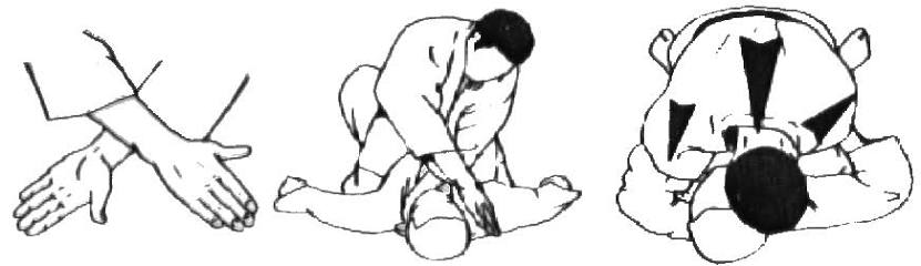 <p>Half cross lock </p>
