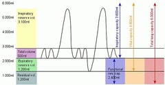 <p>500 mL - Air inspired during normal, relaxed breathing</p>