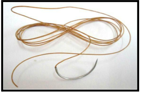 <ol><li><p><span style="background-color: transparent;">HILOS DE SUTURA: Mencione el nombre y tiempo de absorción</span></p></li></ol><p></p>