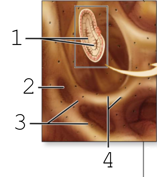 <p>2</p>