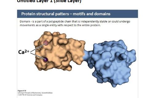 <ul><li><p>independently stable unit </p></li><li><p>can function on its own </p></li><li><p>proteins = modular </p></li></ul><p></p>