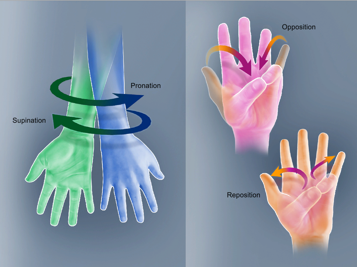 <p>reposition</p>