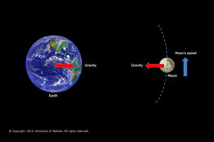 <p>Potential energy due to an object's height above the ground</p>