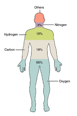 <p>A substance that cannot be broken down into simpler substances by ordinary chemical methods.</p>