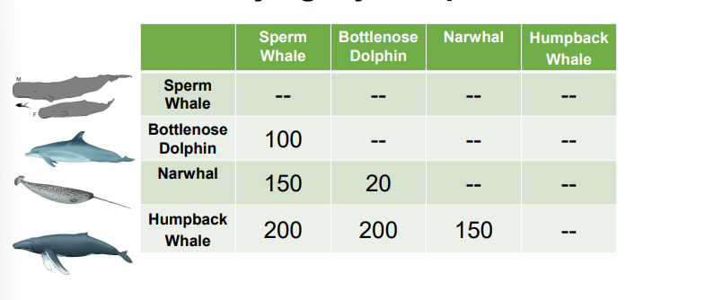 <p>Phylogeny sample problem</p>