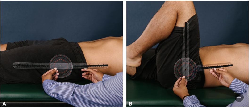 <p>Hip Flexion</p>