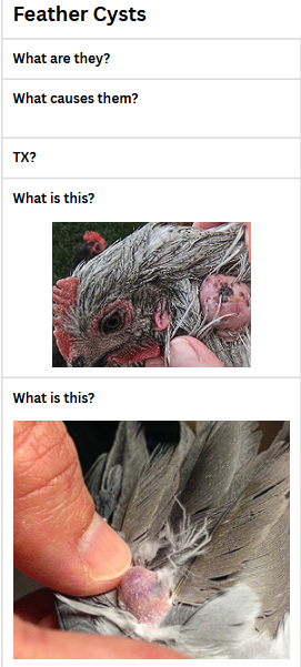 <p>.</p>