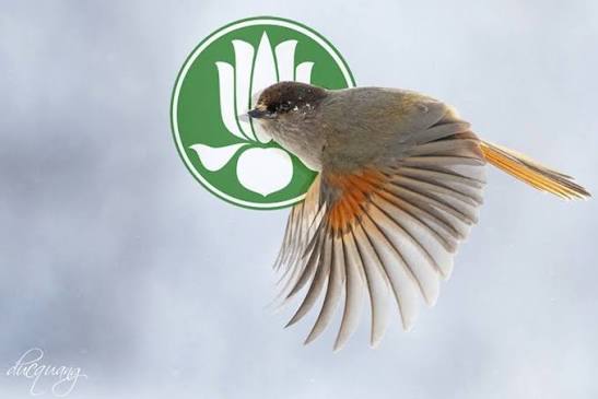 <p><span>Why do we call the youngest group in GĐPT “Oanh Vũ”? [Vì sao chúng ta gọi Đoàn nhỏ tuổi nhất trong GĐPT là “Oanh vũ”?]</span></p>