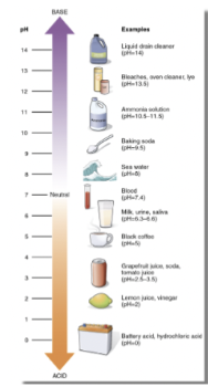 <p>measurement scale to specify the acidity or basicity of an aqueous solution</p><ul><li><p>logarithmic scale = each unit is a 10-fold change in acidity or bascitiy</p></li><li><p>range from 0-14 (7 is neutral)</p></li><li><p>really a measure of the amount of free H+ and OH- ions in aq soln</p></li></ul><p></p>
