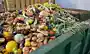 <p>contribute to the issue of food wastage (v)</p>