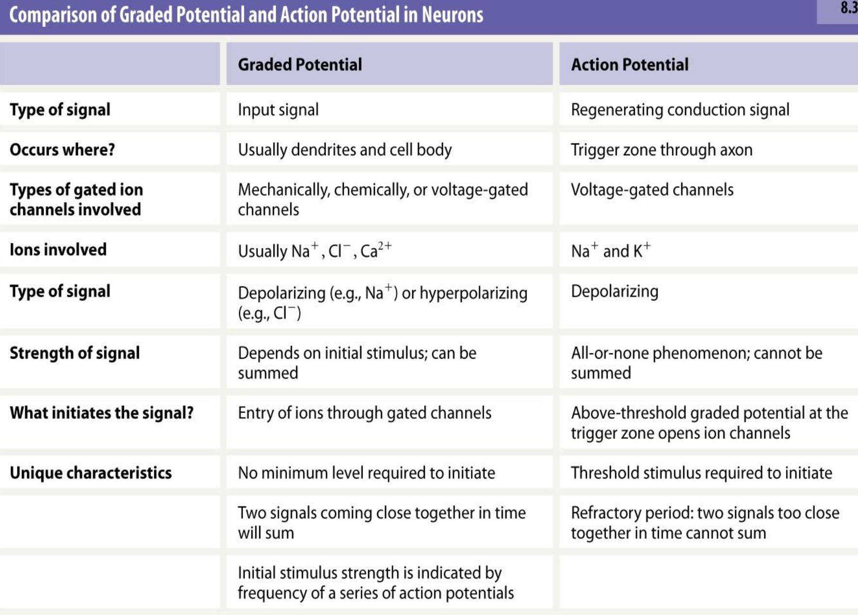 <ul><li><p>Where do action potentials travel from and to?</p></li><li><p>Why are action potentials high speed?</p></li></ul><p></p>