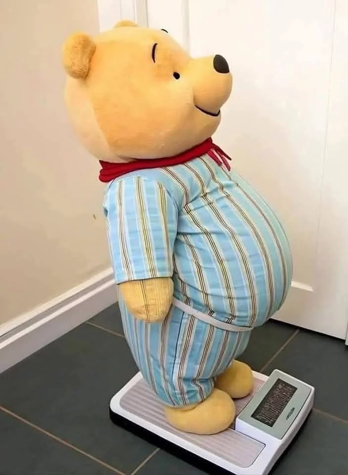 <p>put on weight</p>