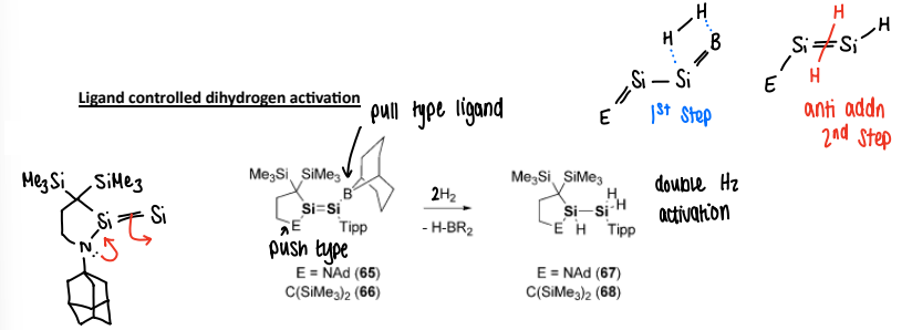 <p>There is ‘push-pull’ ligands that enhances the rate of reaction. The NAd ligand acts as a push, with the boryl group acting as the pull.</p><p>The lone pair from the N is donated into the N-Si bond and the Si=Si break into a single Si-Si bond. The dihydrogen can then coordinate to the metal and the boryl group is cleaved, reforming the Si=Si bond.</p><p>The second equivalent of H2 than undergoes anti-addition to the Si=Si bond. </p>