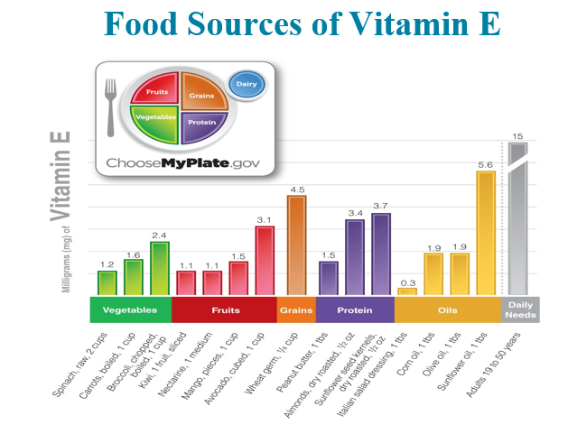 <p>Daily Needs of Vitamin E</p>