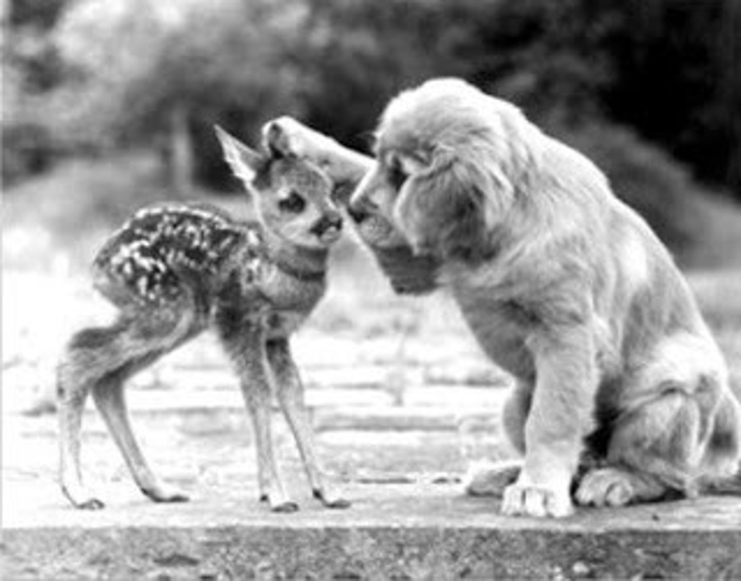 <p>to be nice</p>