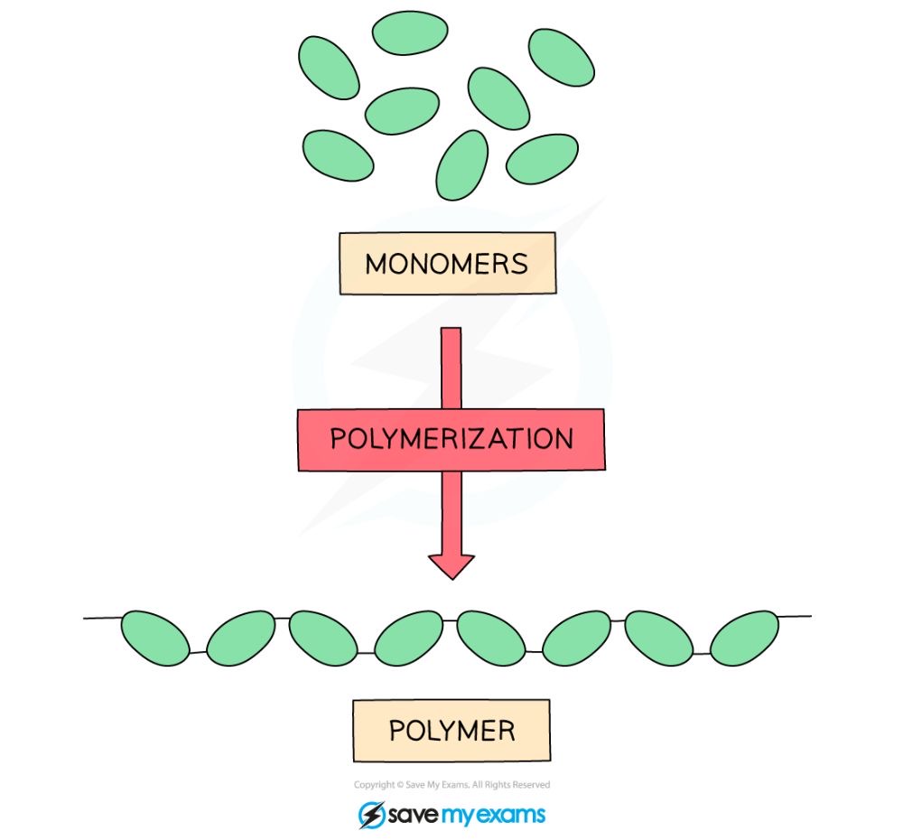 <p>A giant molecule made from many similar repeating subunits joined together in a chain.</p>
