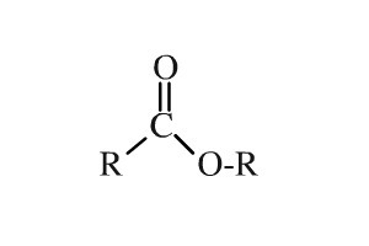 <p>carbonyl group bonded to oxygen bonded to other carbons</p>